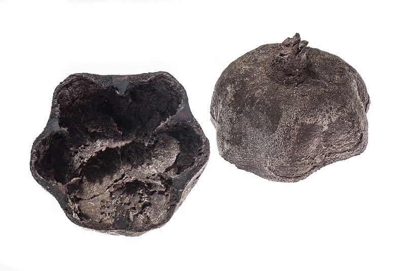 armenien-object-in-bronze-cut-pomegranate-krokodile-am-ararat-anna-eichlinger-800w