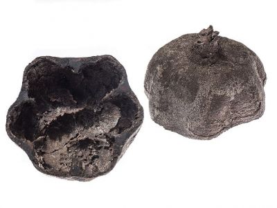 armenien-object-in-bronze-cut-pomegranate-krokodile-am-ararat-anna-eichlinger-800w