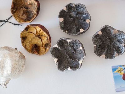 armenien-art-objects-in-progress-krokodile-am-ararat-anna-eichlinger-800w